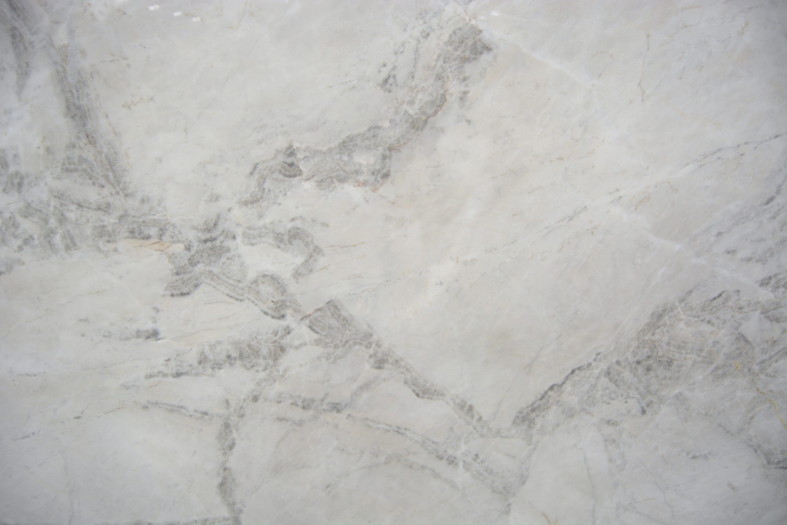 Transform Your Home With Monte Cristo Quartzite: Finishes & Design ...