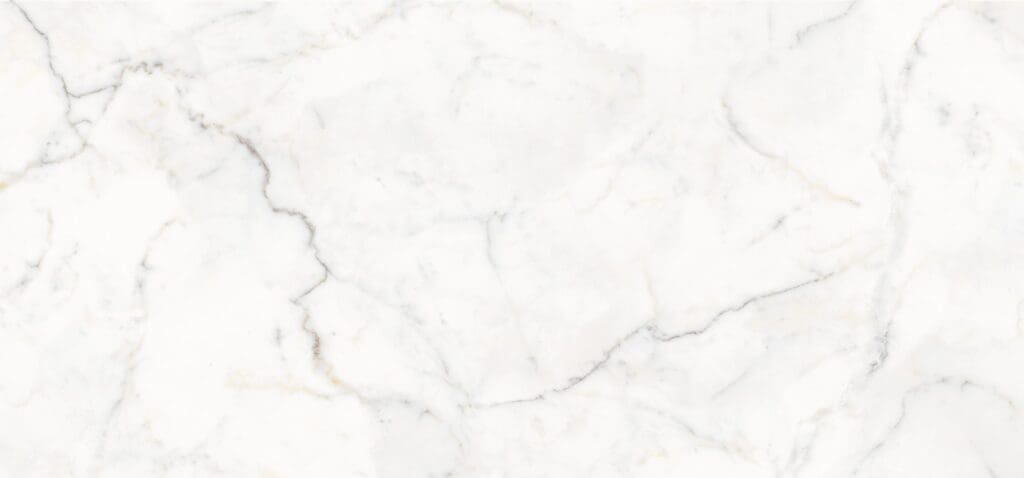 Phi Passion scaled 1