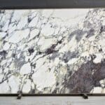 Breccia Capraia P 98861