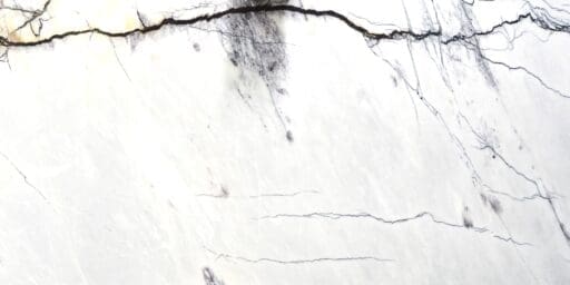 Discover Calacatta Marble: A Design Icon 6 Calacatta New York T