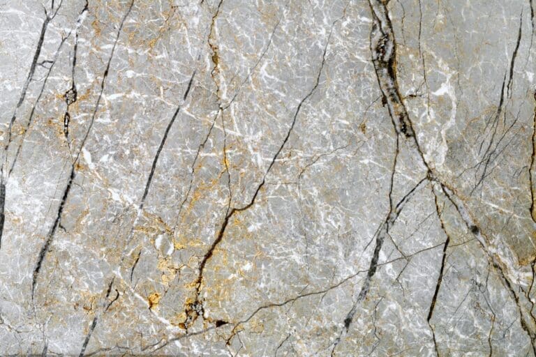 Silver Roots Marble Slab Texture