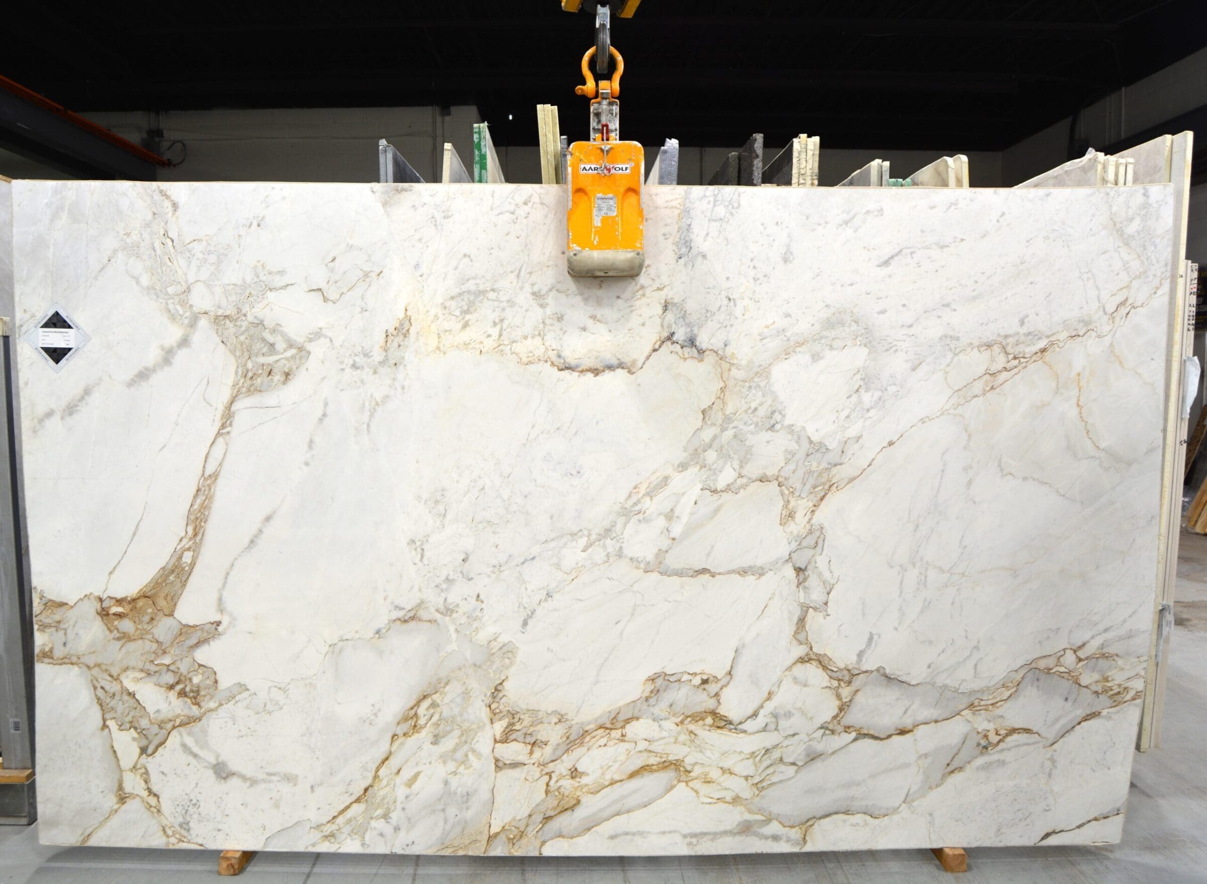 Calacatta Michelangelo Oro Honed Dolomitic Quartzite, Quartzite Slabs ...